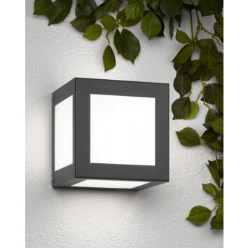 CMD Aqua Cubo Wandleuchte Anthrazit, 1-flammig