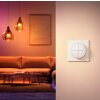 Philips Hue Tap Dial Schalter Weiß