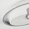 Casqueira Deckenleuchte LED Grau, Weiß, 1-flammig