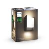 Philips Hue White Fuzo Außenwandleuchte LED Schwarz, 1-flammig