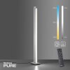 Paul Neuhaus PURE-LINES Stehleuchte LED Aluminium, 1-flammig, Fernbedienung