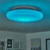 iDual Chloe Deckenleuchte LED Silber, Weiß, 1-flammig, Fernbedienung, Farbwechsler