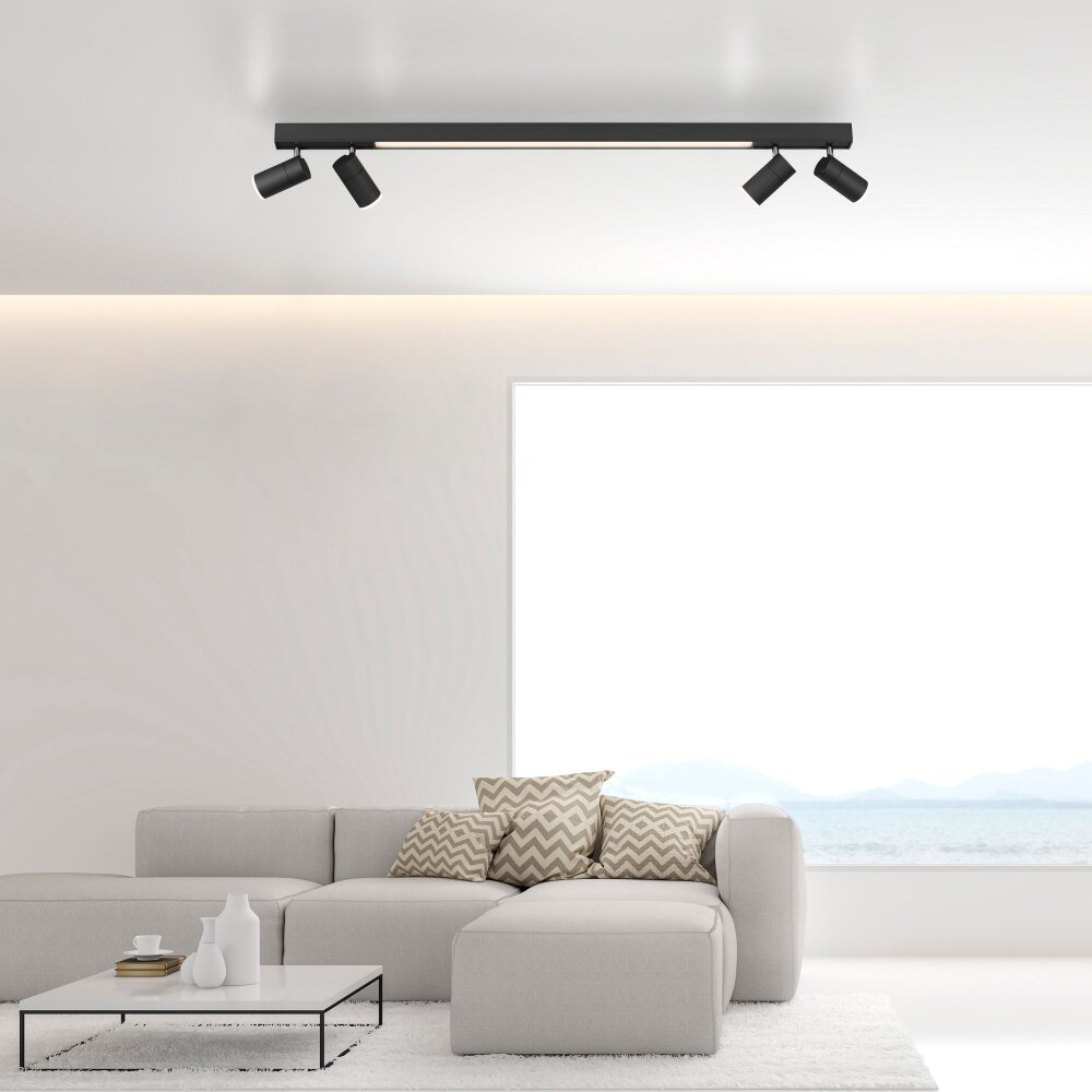 Paul Neuhaus PURE-LINES Deckenleuchte LED Anthrazit, 1-flammig, Fernbedienung main product photo