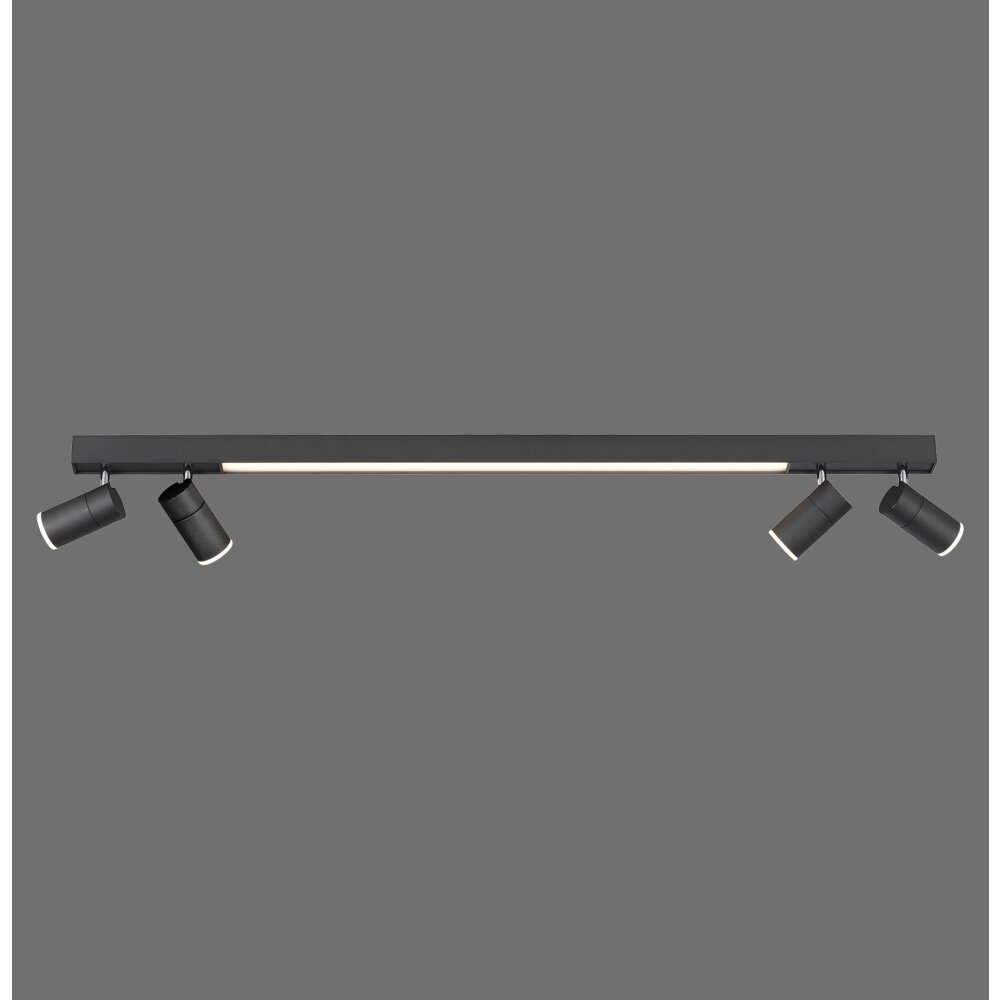 Paul Neuhaus PURE-LINES Deckenleuchte LED Anthrazit, 1-flammig, Fernbedienung