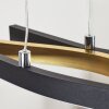 Serlande Pendelleuchte Gold, Schwarz, 1-flammig