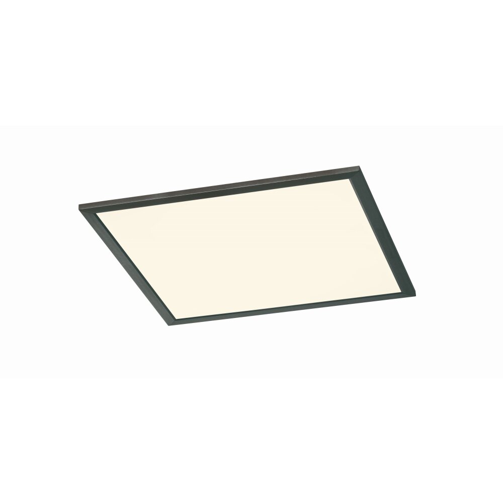 Trio Phoenix Deckenpanel LED Schwarz, Weiß, 1-flammig main product photo