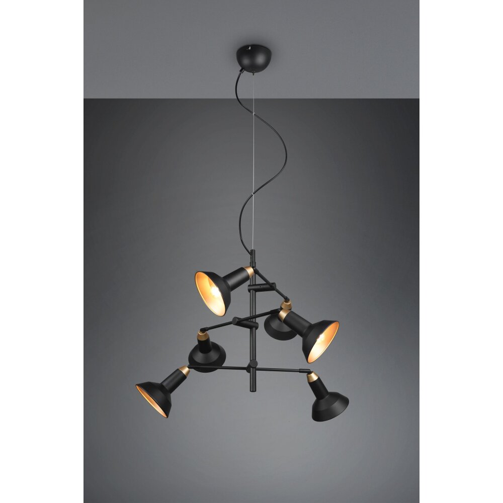 Trio Roxie Pendelleuchte Messing, Schwarz, 6-flammig main product photo