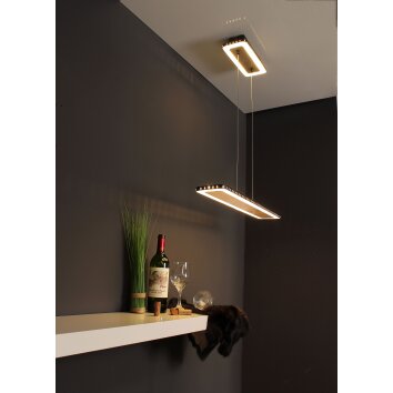 Luce Design Solaris Pendelleuchte LED Gold, Schwarz, 1-flammig