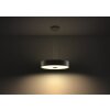 Philips Hue Fair Pendelleuchte LED Schwarz, 1-flammig, Fernbedienung