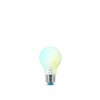 Philips WiZ LED E27 7 Watt 2200-6500 Kelvin 806 Lumen