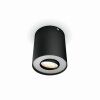 Philips Hue Pillar Deckenleuchte LED Schwarz, 1-flammig