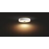 Philips Hue Fair Deckenleuchte LED Weiß, 1-flammig, Fernbedienung