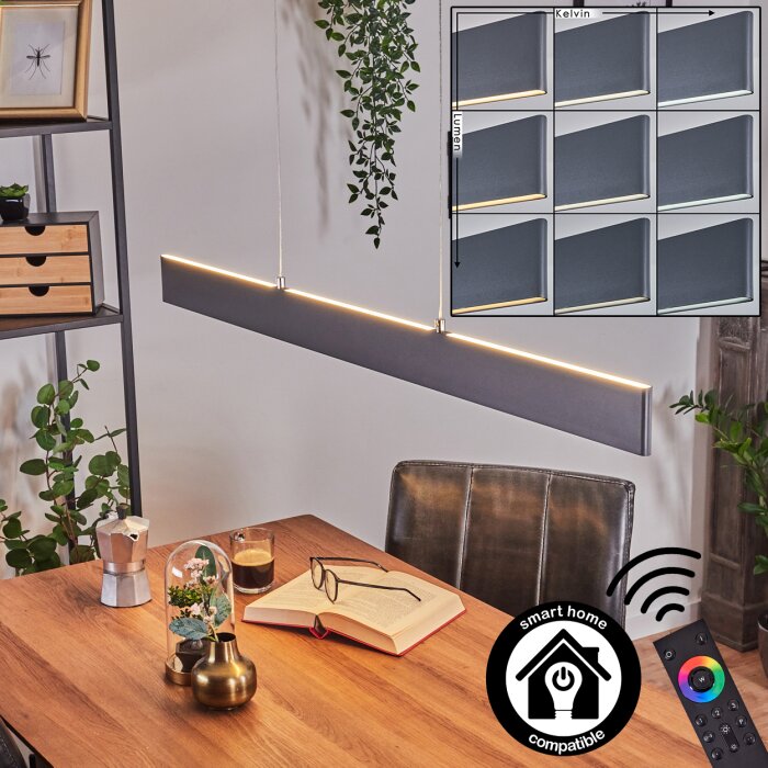 Brun Pendelleuchte LED Anthrazit, 2-flammig, Fernbedienung Brun Pendelleuchte LED Anthrazit, 2-flammig, Fernbedienung