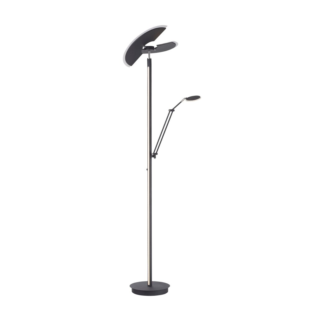 Paul Neuhaus PURE-MUTIL Deckenfluter LED Anthrazit, 2-flammig