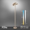 Paul Neuhaus PURE-MUTIL Deckenfluter LED Messing, 2-flammig