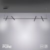 Paul Neuhaus PURE-TUTUA Pendelleuchte LED Schwarz, 4-flammig