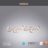 Leuchten Direkt CURLS Pendelleuchte LED Messing, 4-flammig