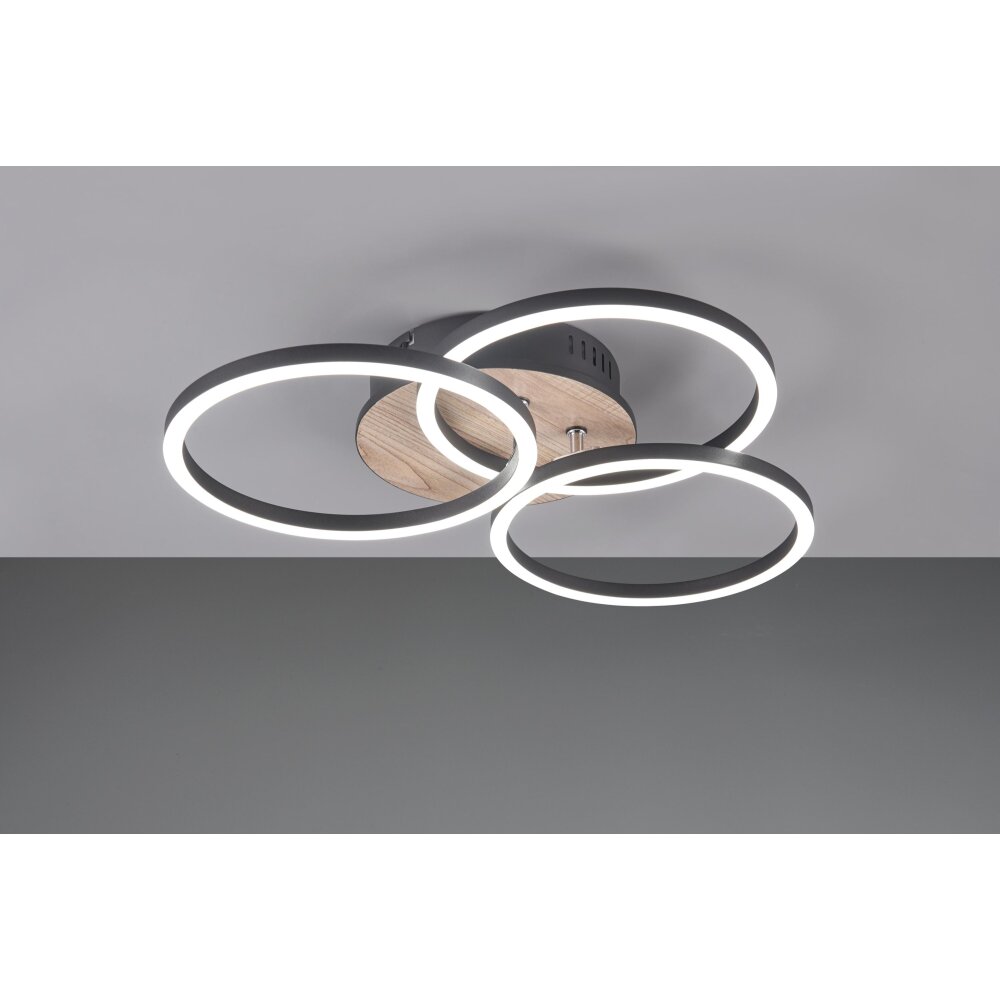 Reality Circle Deckenleuchte LED Holzoptik, Schwarz, 1-flammig, Fernbedienung