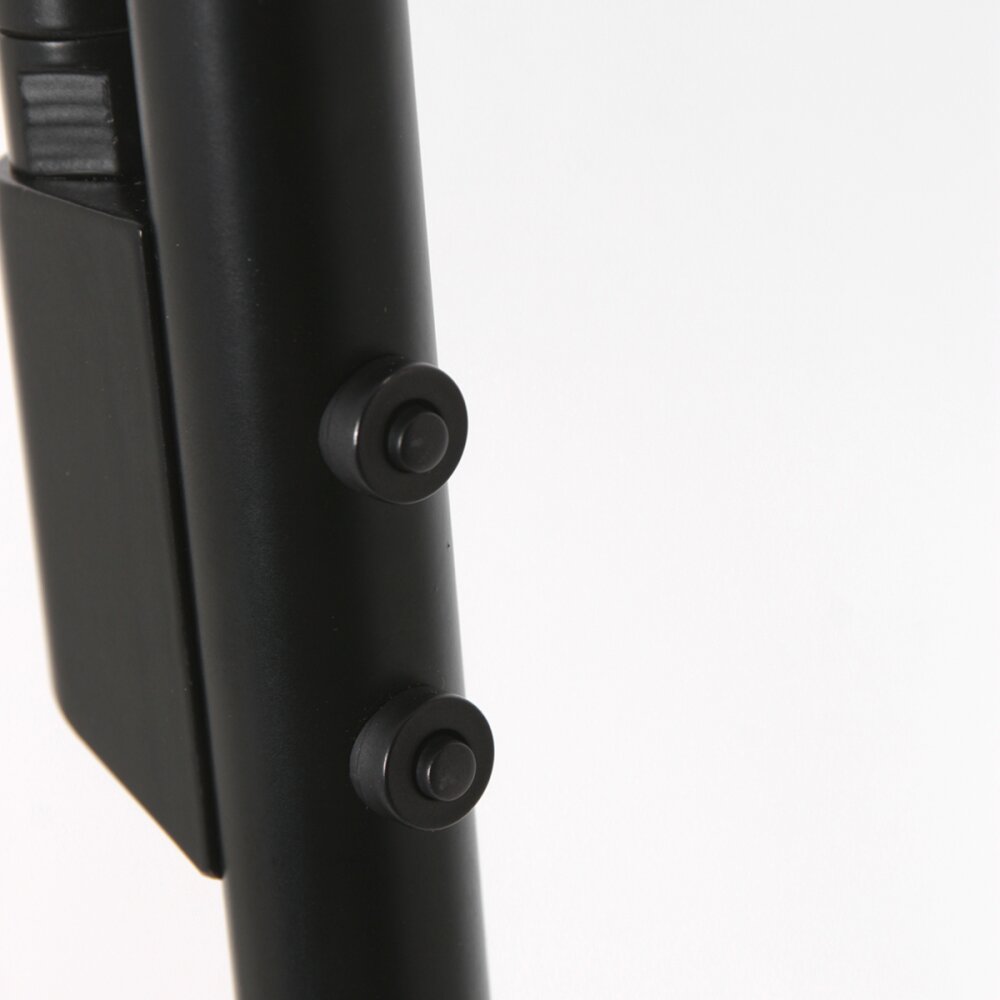 Steinhauer Daphne Deckenfluter LED Schwarz, 2-flammig