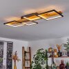 Pompu Deckenleuchte LED Schwarz, 1-flammig