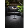 Lutec COCKTAIL Tischleuchte LED Schwarz, 1-flammig