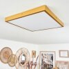 Broglen Deckenpanel LED Gold, 1-flammig