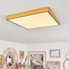 Broglen Deckenpanel LED Gold, 1-flammig