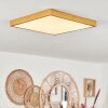 Broglen Deckenpanel LED Gold, 1-flammig