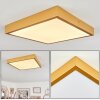 Broglen Deckenpanel LED Gold, 1-flammig