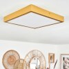 Broglen Deckenpanel LED Gold, 1-flammig