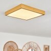 Broglen Deckenpanel LED Gold, 1-flammig