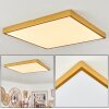 Broglen Deckenpanel LED Gold, 1-flammig