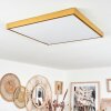 Broglen Deckenpanel LED Gold, 1-flammig