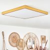 Broglen Deckenpanel LED Gold, 1-flammig