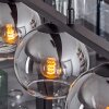 Koyoto Pendelleuchte Glas 15 cm Rauchfarben, 5-flammig