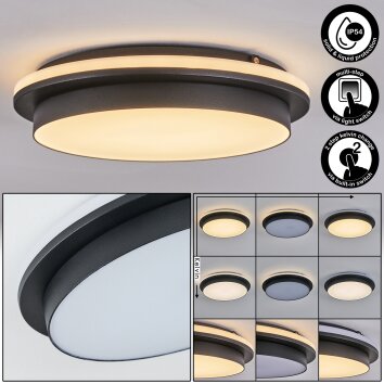 Caucete Außendeckenleuchte LED Schwarz, 1-flammig Caucete Außendeckenleuchte LED Schwarz, 1-flammig