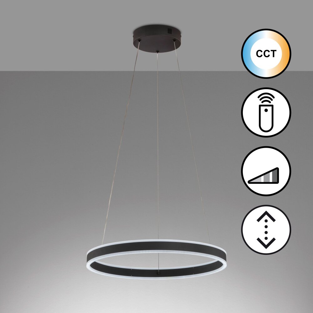 Fischer & Honsel Sirko Pendelleuchte LED Schwarz, 1-flammig, Fernbedienung main product photo
