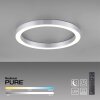 Paul Neuhaus PURE-LINES Deckenleuchte LED Silber, 1-flammig, Fernbedienung