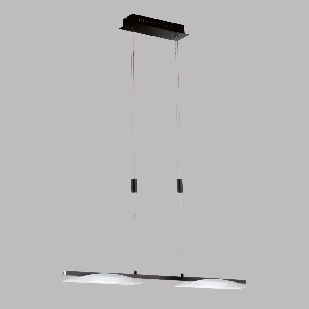 Fischer & Honsel Kop Pendelleuchte LED Schwarz, 2-flammig main product photo