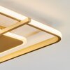 Evolene Deckenleuchte LED Gold, 1-flammig