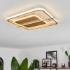 Evolene Deckenleuchte LED Gold, 1-flammig