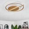 Evolene Deckenleuchte LED Gold, 1-flammig