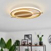 Evolene Deckenleuchte LED Gold, 1-flammig