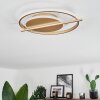 Evolene Deckenleuchte LED Gold, 1-flammig