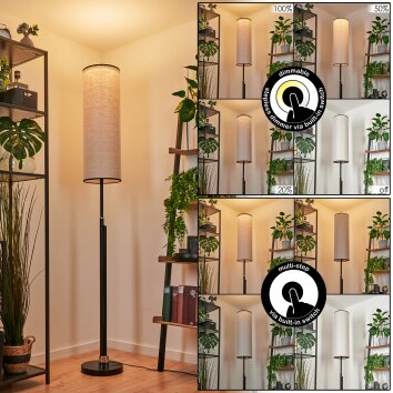 Coquimbito Stehleuchte LED Schwarz, 1-flammig