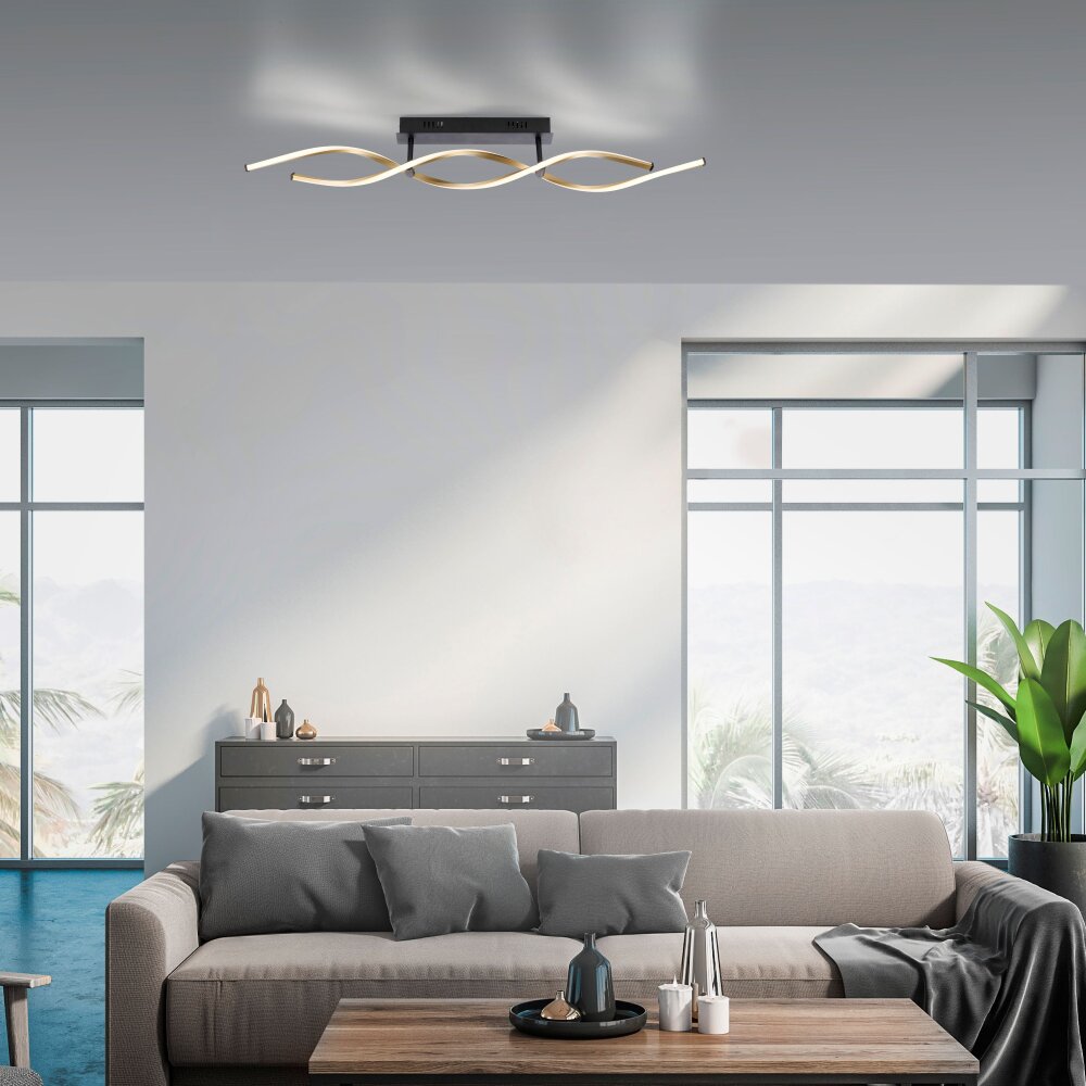 Paul Neuhaus POLINA Deckenleuchte LED Schwarz, 1-flammig main product photo