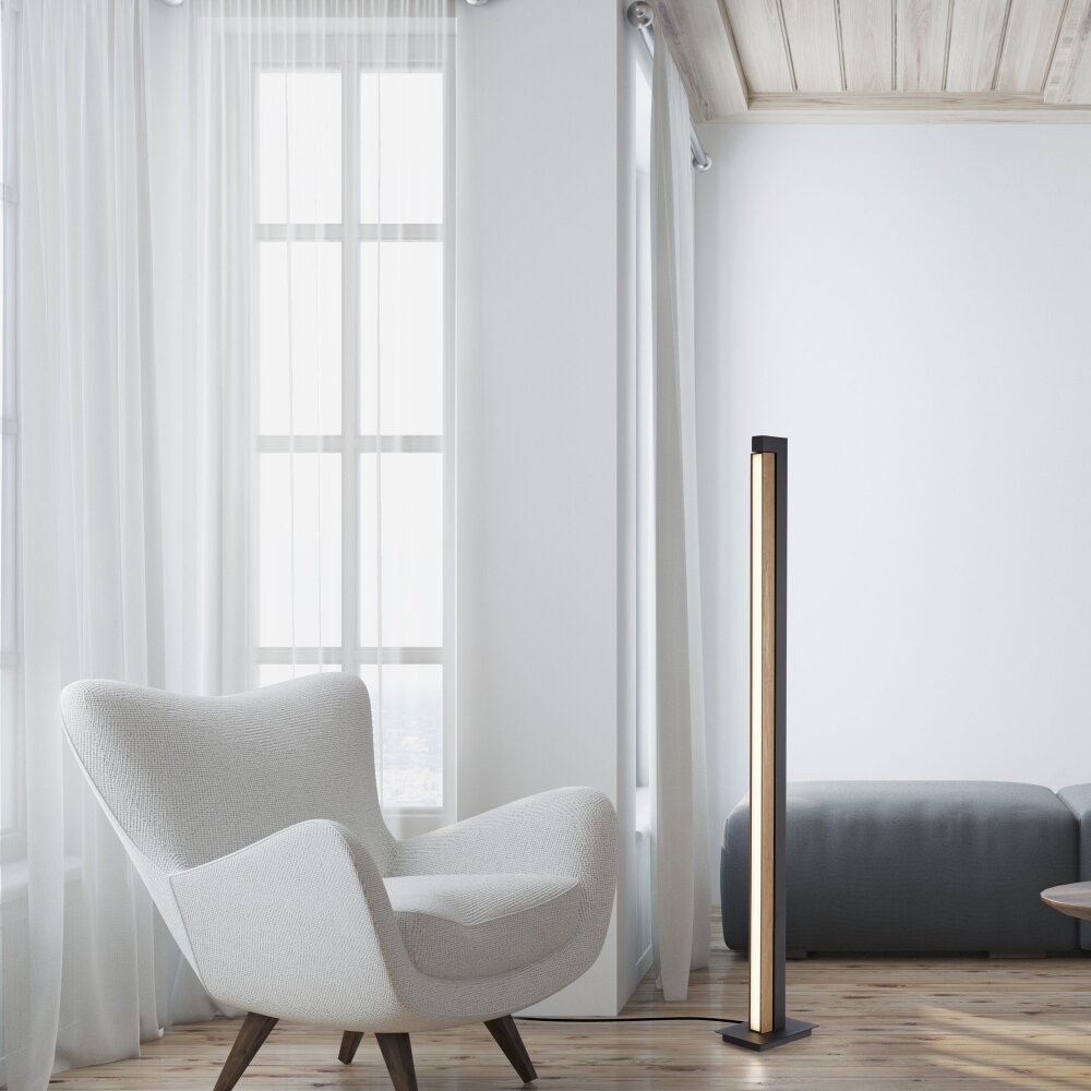 Paul Neuhaus PURE-LINES Stehleuchte LED Naturfarben, 1-flammig, Fernbedienung main product photo