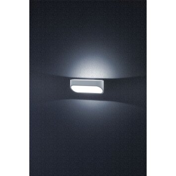 Helestra CAPE Außenwandleuchte LED Grau, Silber, 1-flammig