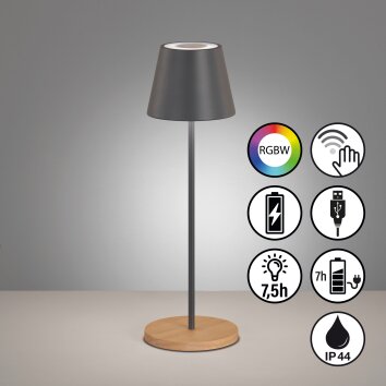 FHL easy Cosenza Tischleuchte LED Grau, Naturfarben, 1-flammig, Farbwechsler