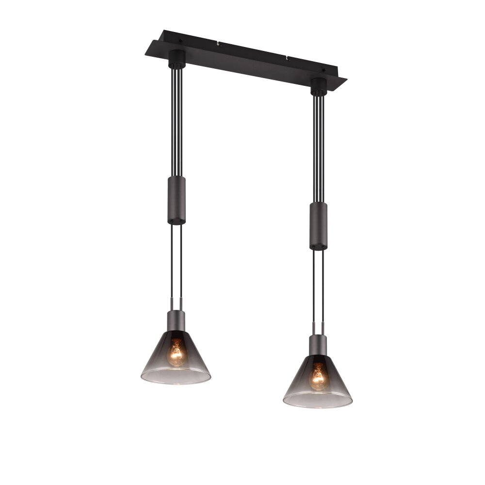 Trio STANLEY Pendelleuchte Schwarz, 2-flammig main product photo